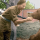 Illustration for article titled When Pets Get Drafted: The Bizarre History of Animal Soldiers